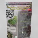 Foeniculum Vulgare Whole Plant Powder | Fennel Whole Plant Powder | Misreya | Madhurika