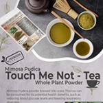 Mimosa Pudica Whole Plant Powder | Touch Me Not | Lajjalu | Lajwanti