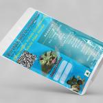 Sphaeranthus Indicus Whole Plant Powder | Gorakhmundi | Tapaswini